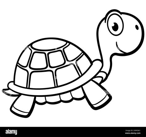 black and white turtle clipart